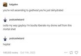 kalgalen you're not ascending to godhood you're just dehydrated podcastwizard outta my way gayboy i'm boutta liberate my divine self from this mortal shell hopital podcastwizard 140,935 notes Oct 11th, 2023 ...