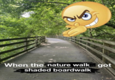 When the nature walk got shaded boardwalk