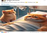 Usama Munawar 1h • My Mom is sick And I am Alone #Caturday #Catsofinstagram... See more Follow me ib 36 4 comments 1 share