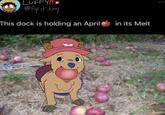 LUFFY!!! @Pyrit.king This dock is holding an April in its Melt