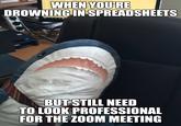 WHEN YOU'RE DROWNING IN SPREADSHEETS BUT STILL NEED TO LOOK PROFESSIONAL FOR THE ZOOM MEETING