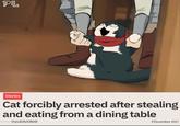 PL Stories Cat forcibly arrested after stealing and eating from a dining table @pubitylatest 9 December 2021