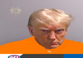 The Orange Man With The Orange Team LEV