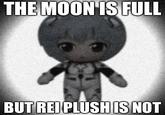 THE MOON IS FULL BUT REI PLUSH IS NOT