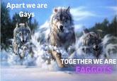 Apart we are Gays TOGETHER WE ARE F------