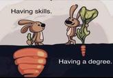 Having skills. Having a degree.
