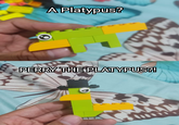 A Platypus? PERRY THE PLATYPUS?!