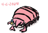 4-6-2024