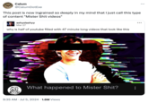 Calum @Calum DotExe This post is now ingrained so deeply in my mind that I just call this type of content "Mister S--- videos" ashyslashyy Mar 27 why is half of youtube filled with 47 minute long videos that look like this What happened to Mister S---? • 9:35 AM Jul 5, 2024 1.6M Views •