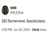 WBR @W_B_Rick SEC Burnerverse. Special place. 4:30 PM ⚫ Jun 24, 2024 176.1K Views