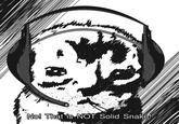 No! That is NOT Solid Snake!