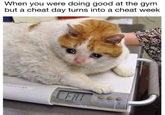 When you were doing good at the gym but a cheat day turns into a cheat week FAT