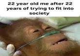 22 year old me after 22 years of trying to fit into society u/LUXUSBUERG