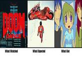 What I Watched What I Expected What I Got