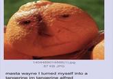 1404489014866(1).jpg 87 KB JPG masta wayne I turned myself into a tangerine im tangerine alfred