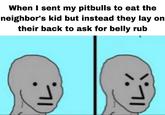 Once again Redditors gave me useless advice | /r/dankmemes When I sent my pitbulls to eat the neighbor's kid but instead they lay on their back to ask for belly rub