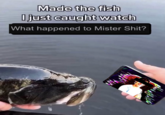 Made the fish I just caught watch What happened to Mister S---?