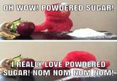OH WOW! POWDERED SUGAR! I REALLY LOVE POWDERED SUGAR! NOM NOM NOM NOM!