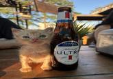 SUPERIOR LIGHT B SUPERIOR LIGHT BEER Michelob ULTR 2.6 CARBS 95 CALS 4.2% ALC./VOL ANHEUSER-BUSCH ST. LOUIS M-12