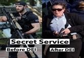 1 LICE Secret Service Before DEI After DEI