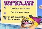 WARIO'S TIPS FOR SUMMER 1 Drink the sun screen Put it in your eyes Never get caught for tax evasion W