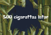 500 cigarettes later