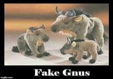 Fake Gnus imgflip.com