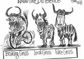 Now EARK 2018 # FM Braking Gnus Local Gnus Fake Gnus