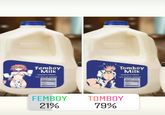 Femboy Milk "ALWAYS FRESH +2% BULGE ADDED Wuntas Fach Tomboy Milk "ALWAYS FRESH *2% SWEAT ADDED Facto FEMBOY 21% TOMBOY 79%