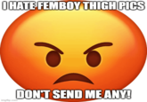 I HATE FEMBOY THIGH PICS imgflip.com DON'T SEND ME ANY!