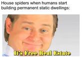 House spiders when humans start building permanent static dwellings: It's Free Real Estate