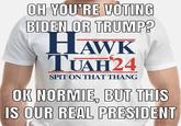 OH YOU'RE VOTING BIDEN OR TRUMP? HAWK TUAH24 SPIT ON THAT THANG OK NORMIE, BUT THIS IS OUR REAL PRESIDENT