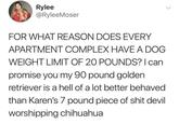 Rylee @RyleeMoser FOR WHAT REASON DOES EVERY APARTMENT COMPLEX HAVE A DOG WEIGHT LIMIT OF 20 POUNDS? I can promise you my 90 pound golden retriever is a hell of a lot better behaved than Karen's 7 pound p------------ devil worshipping chihuahua
