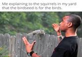 Me explaining to the squirrels in my yard. that the birdseed is for the birds.