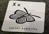 xerces butterfly XX