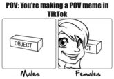 POV: You're making a POV meme in TikTok CT OBJECT Males Females