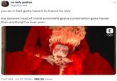 no lady godiva @gothmess you do in fact gotta hand it to france for this the severed head of marie antoinette gojira combination goes harder than anything I've ever seen 11:27 AM ⚫ Jul 27, 2024 282.2K Views