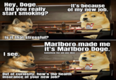 Hey, Doge. Did you really start smoking? It's because of my new job. Marlboro Is it that stressful? Marlboro-made me it's Marlboro Doge. Somehow the old one died. I see. Rebilver Phoenix Out of curiosity, how's the health insurance of your new job? Marlboro