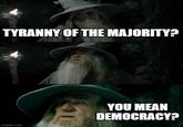 TYRANNY OF THE MAJORITY? imgflip.com YOU MEAN DEMOCRACY?