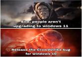 Sire, people aren't upgrading to windows 11 Release the Crowdstrike bug for windows 10