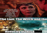 "You break the rules and become the hero, I did the same and became the enemy... it doesn't seem fair" The Lion, The Witch and the Audacity of this B