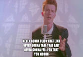 NEVER GONNA CLICK THAT LINK NEVER GONNA TAKE THAT BAIT NEVER GONNA FALL FOR THAT YOU MORON