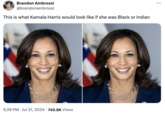 Brandon Ambrossi @brandonambrossi This is what Kamala Harris would look like if she was Black or Indian • 5:28 PM ⚫ Jul 31, 2024 740.8K Views •