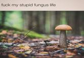 f--- my stupid fungus life