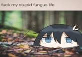 f--- my stupid fungus life