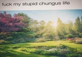 f--- my stupid chungus life