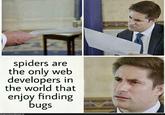 spiders are the only web developers in the world that enjoy finding bugs ProgrammerHumor.io