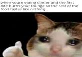 when youre eating dinner and the first bite burns your tounge so the rest of the food tastes like nothing