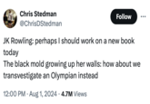 JK Rowling Black Mold Theory Chris Stedman @ChrisDStedman Follow JK Rowling: perhaps I should work on a new book today The black mold growing up her walls: how about we transvestigate an Olympian instead 12:00 PM - Aug 1, 2024 4.7M Views