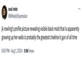 JK Rowling Black Mold Theory soul nate @MNateShyamalan ... jk rowling's profile picture revealing visible black mold that is apparently growing up her walls is probably the greatest chekhov's gun of all time 6:50 PM - Aug 1, 2024 9.1M Views